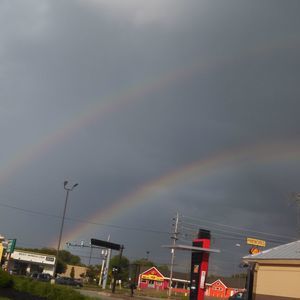 Meet your Posher, Darlene